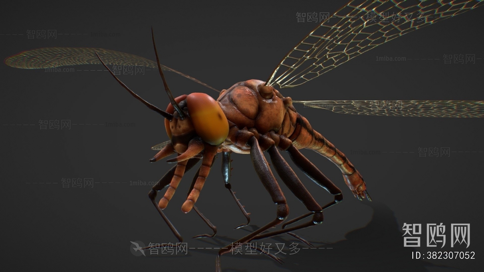 Modern Animal