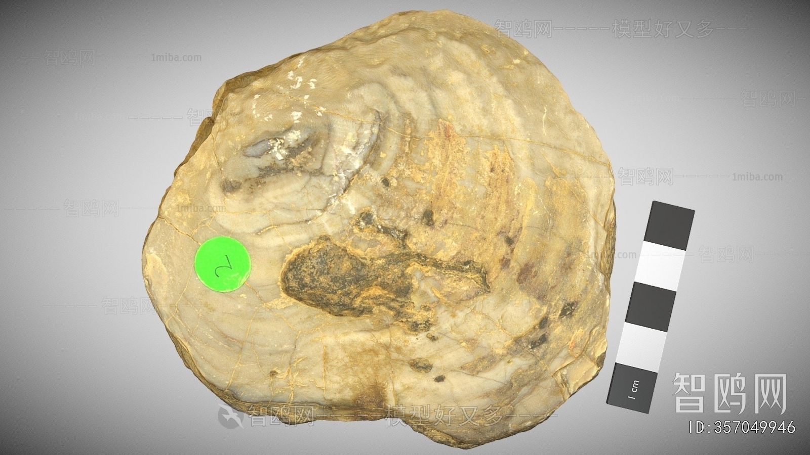 Modern Medical Equipment