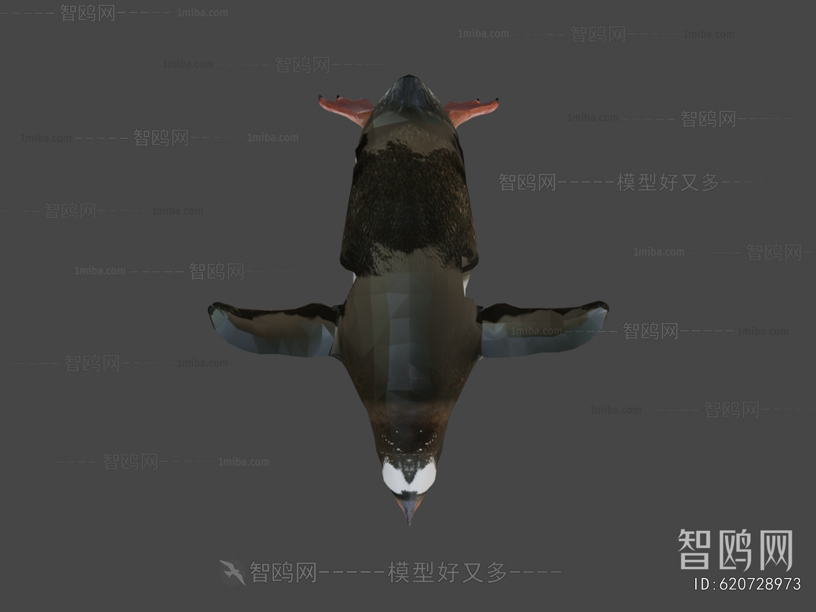 Modern Animal