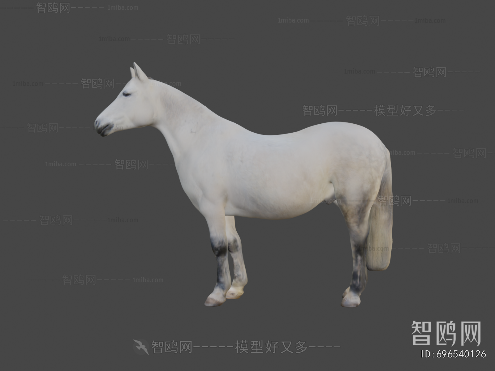 Modern Mammal
