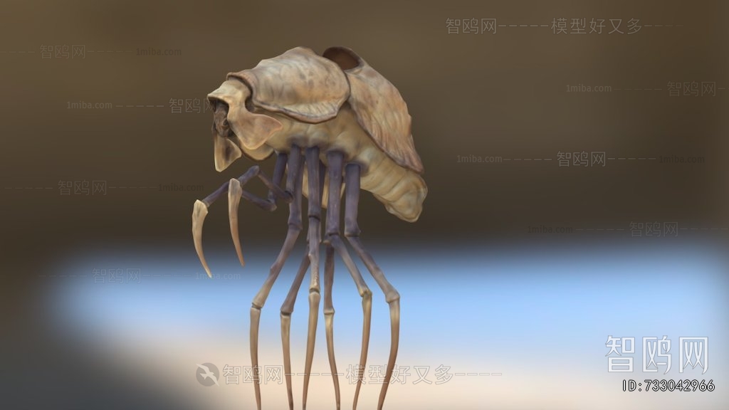 Modern Animal