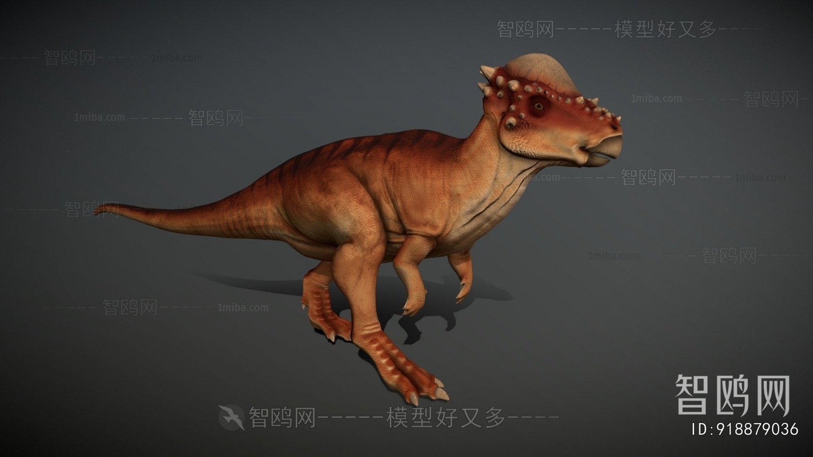 Modern Animal
