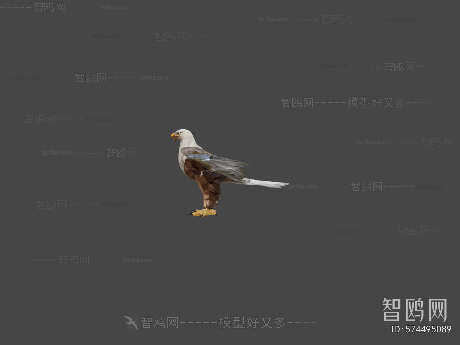 Modern Animal