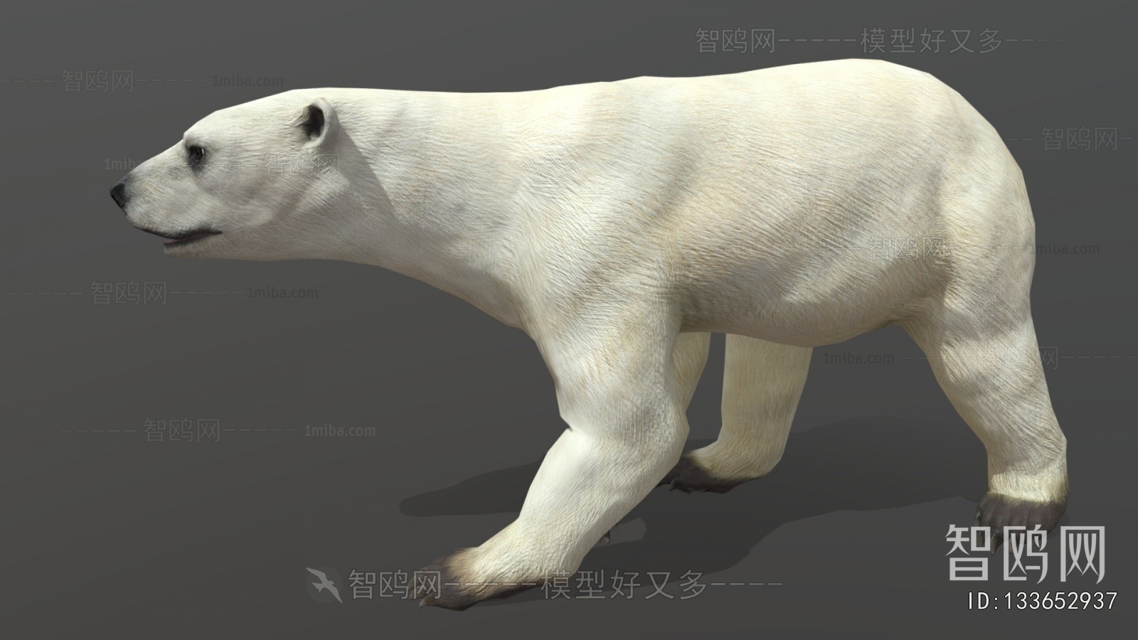 Modern Mammal