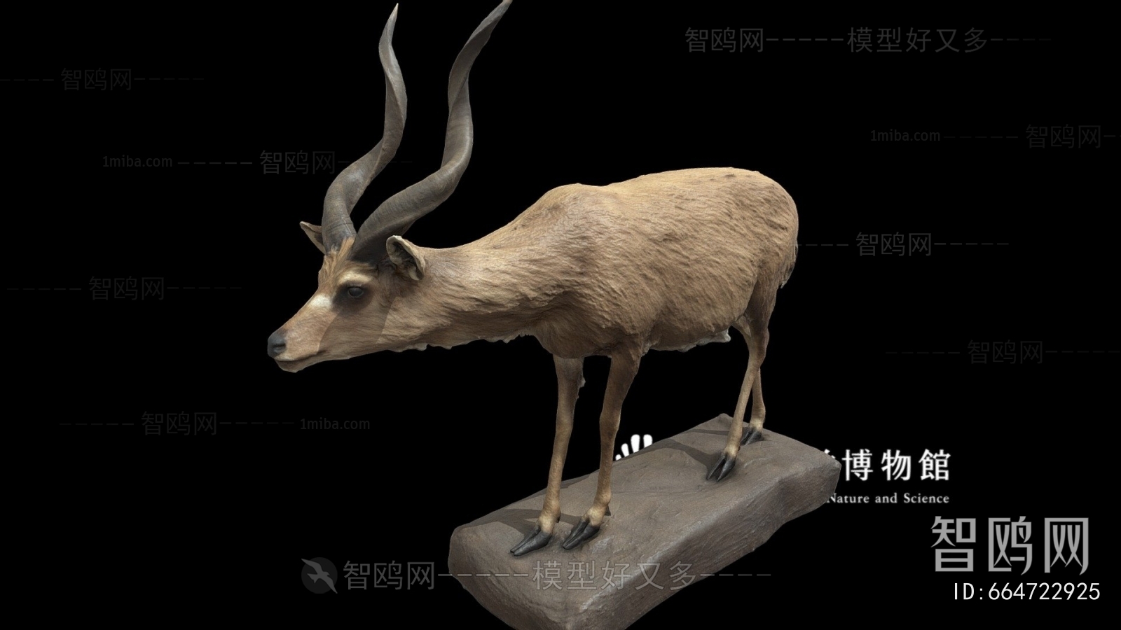 Modern Mammal