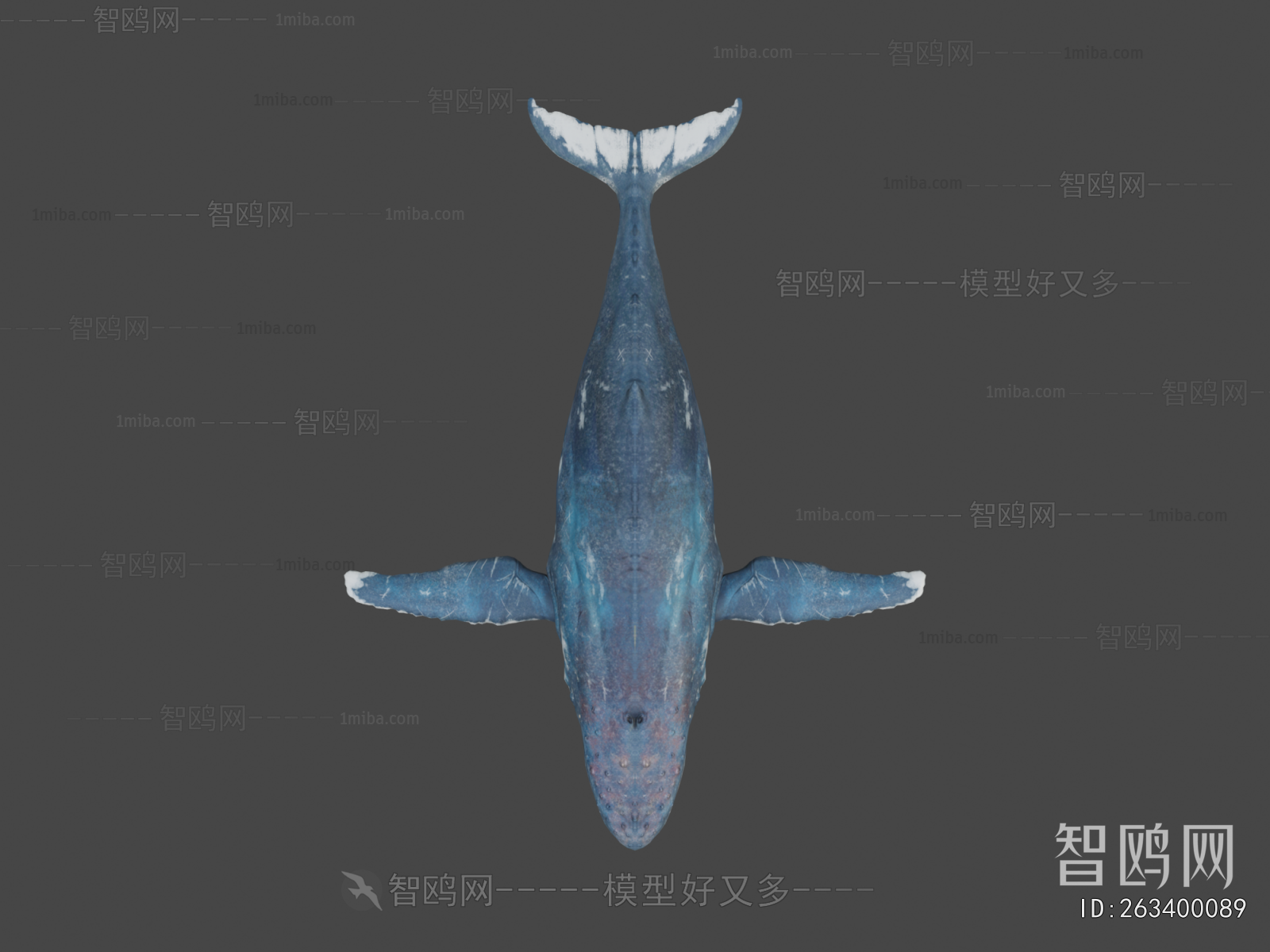 Modern Animal