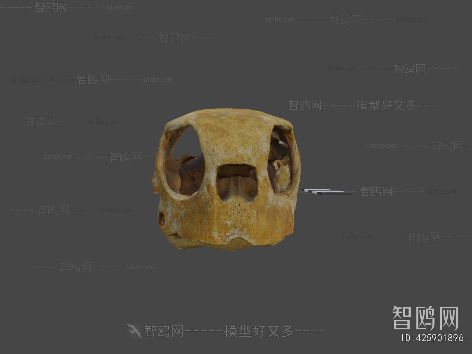 Modern Medical Equipment