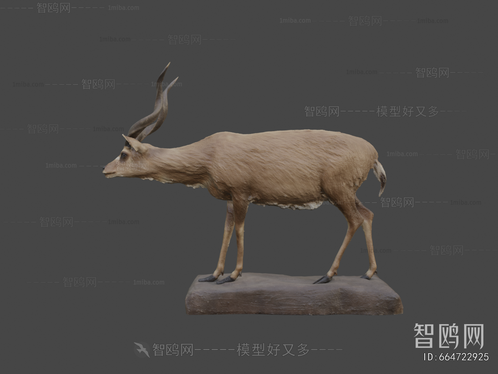 Modern Mammal