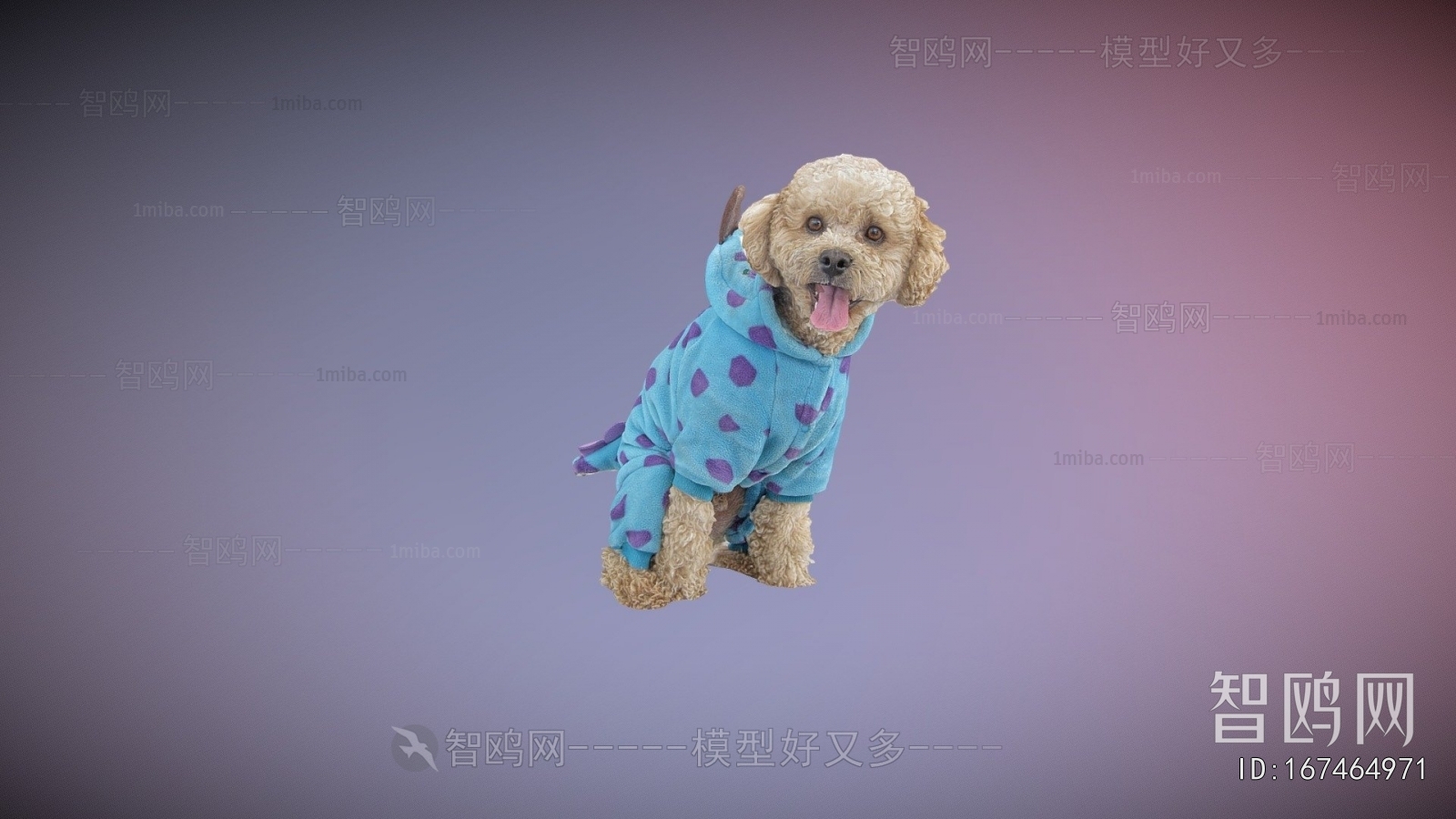 Modern Animal Dog