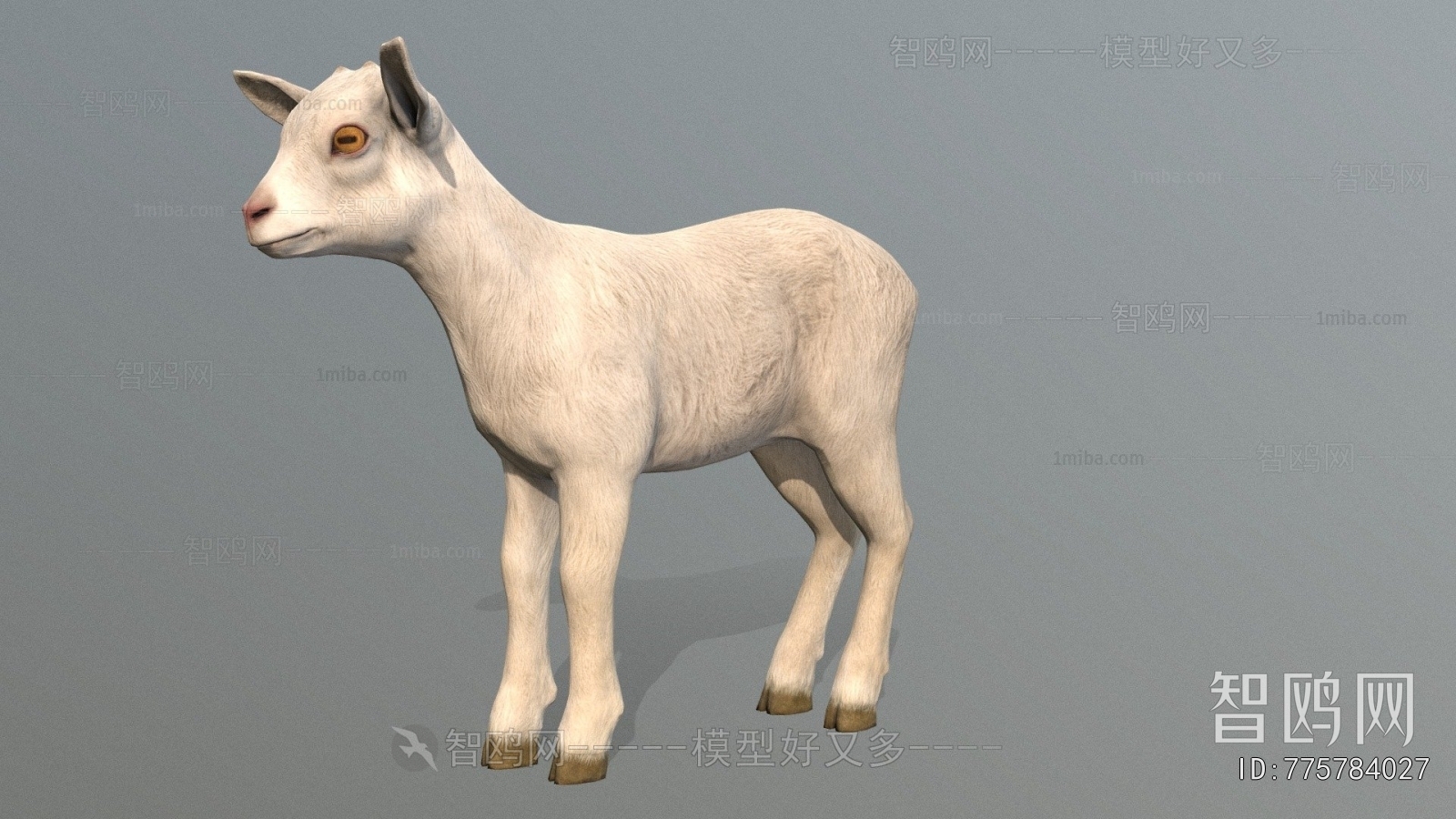 Modern Mammal