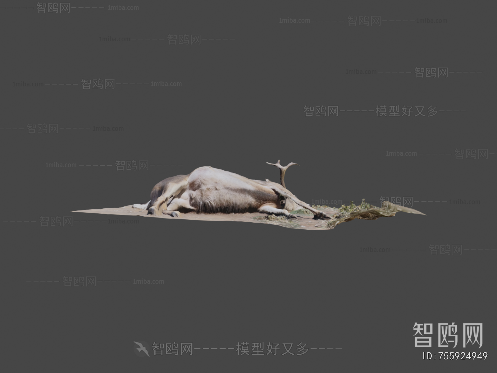 Modern Mammal