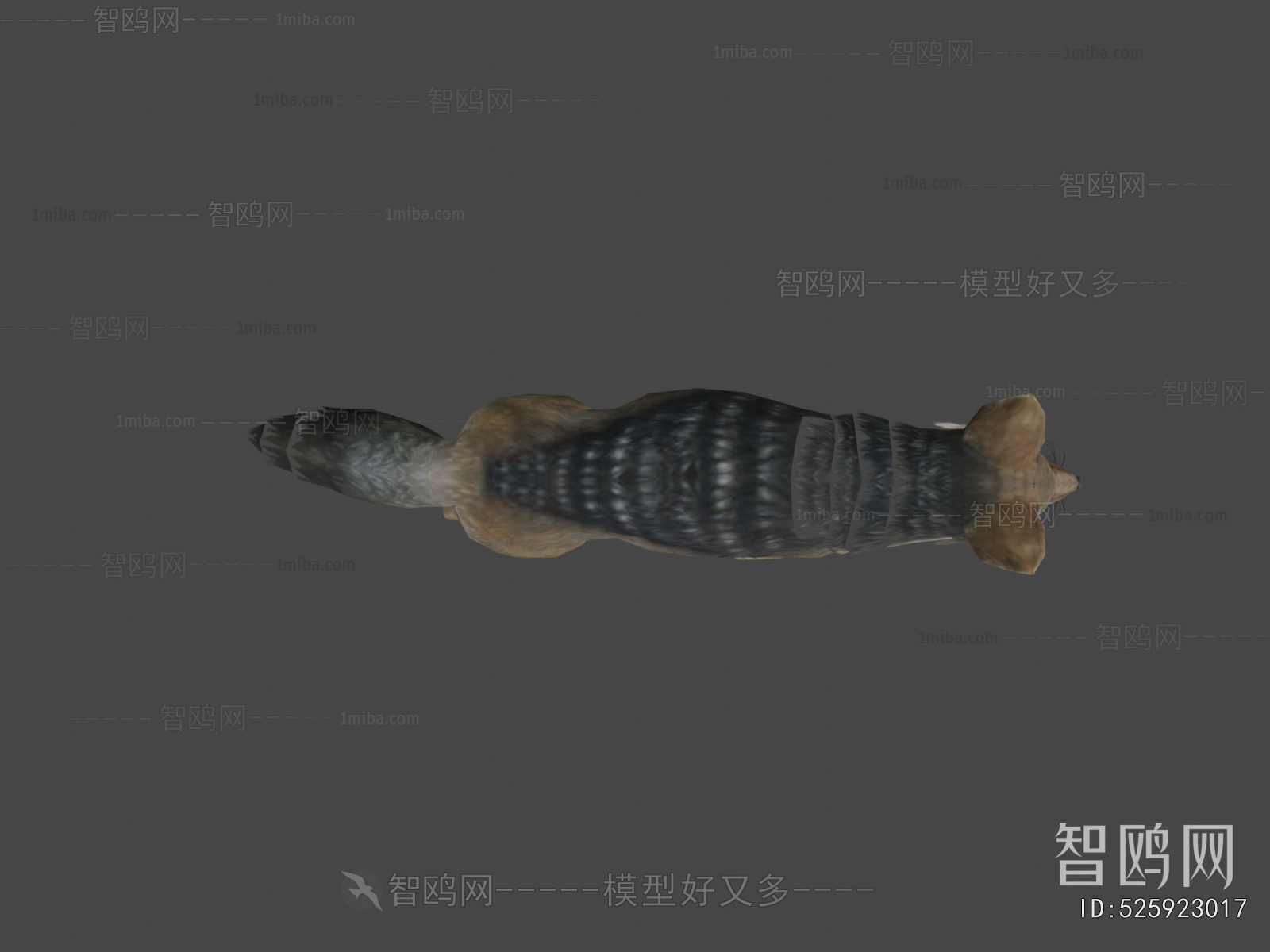 Modern Mammal