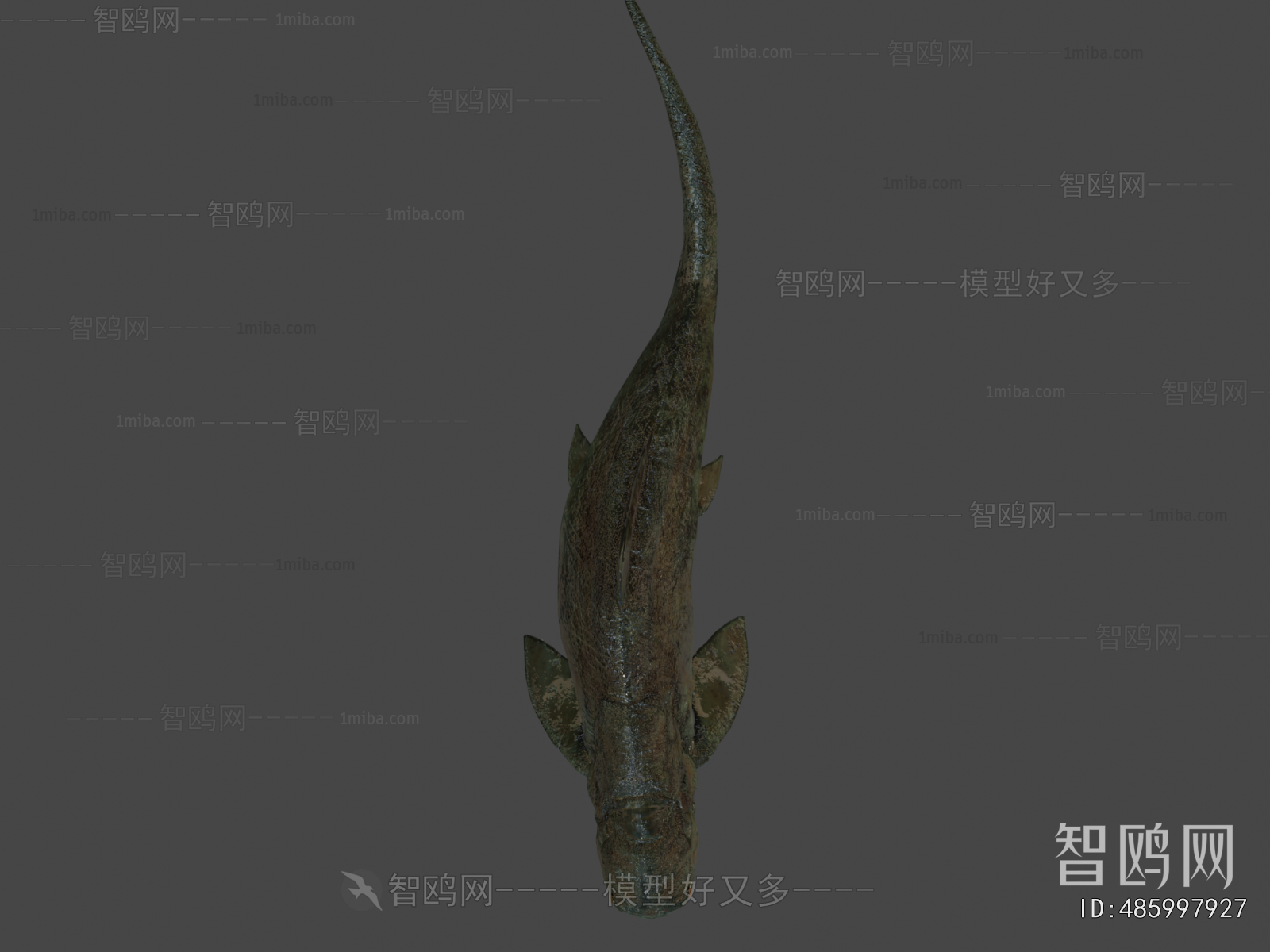Modern Aquatic Animals