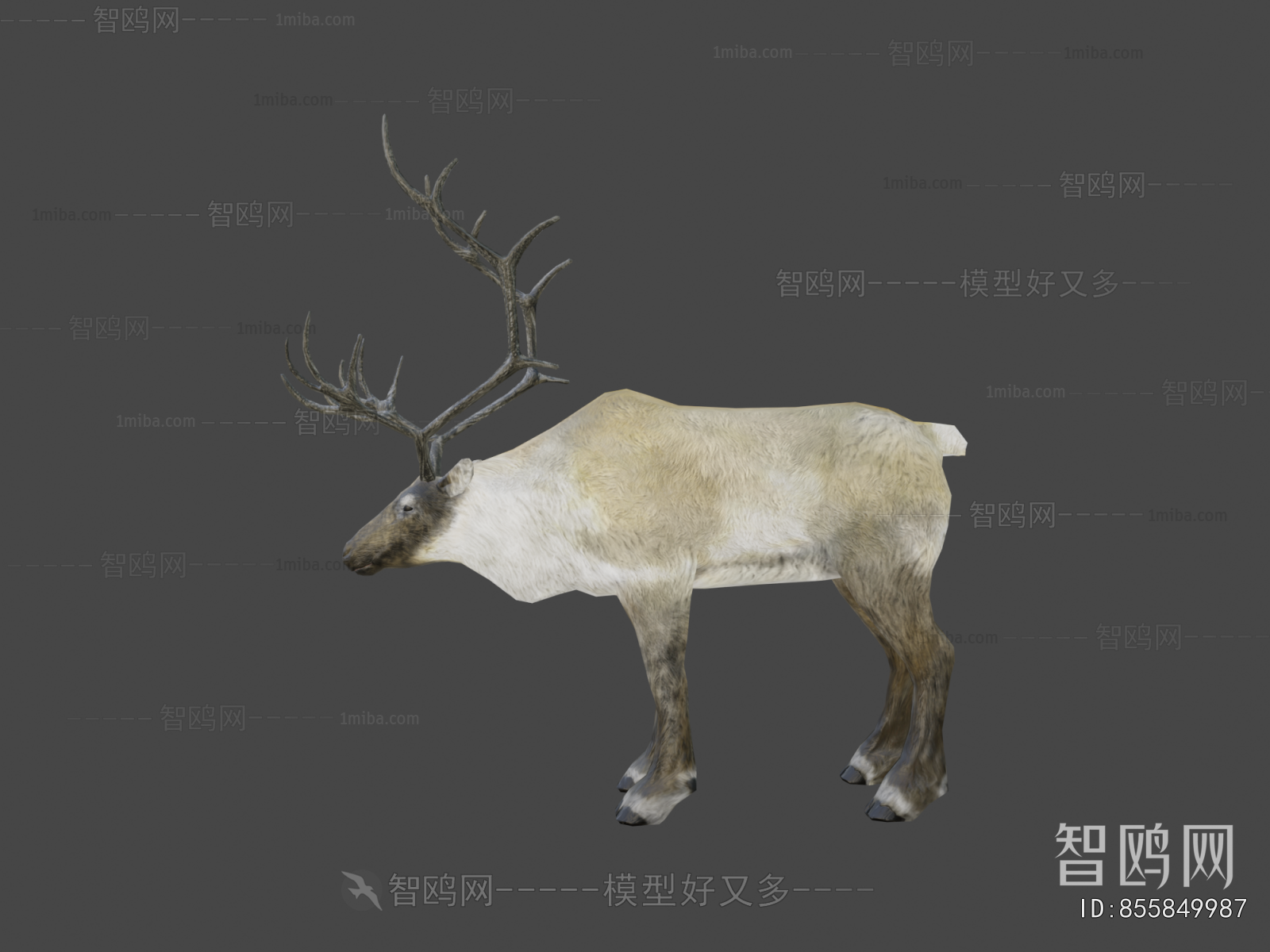 Modern Animal