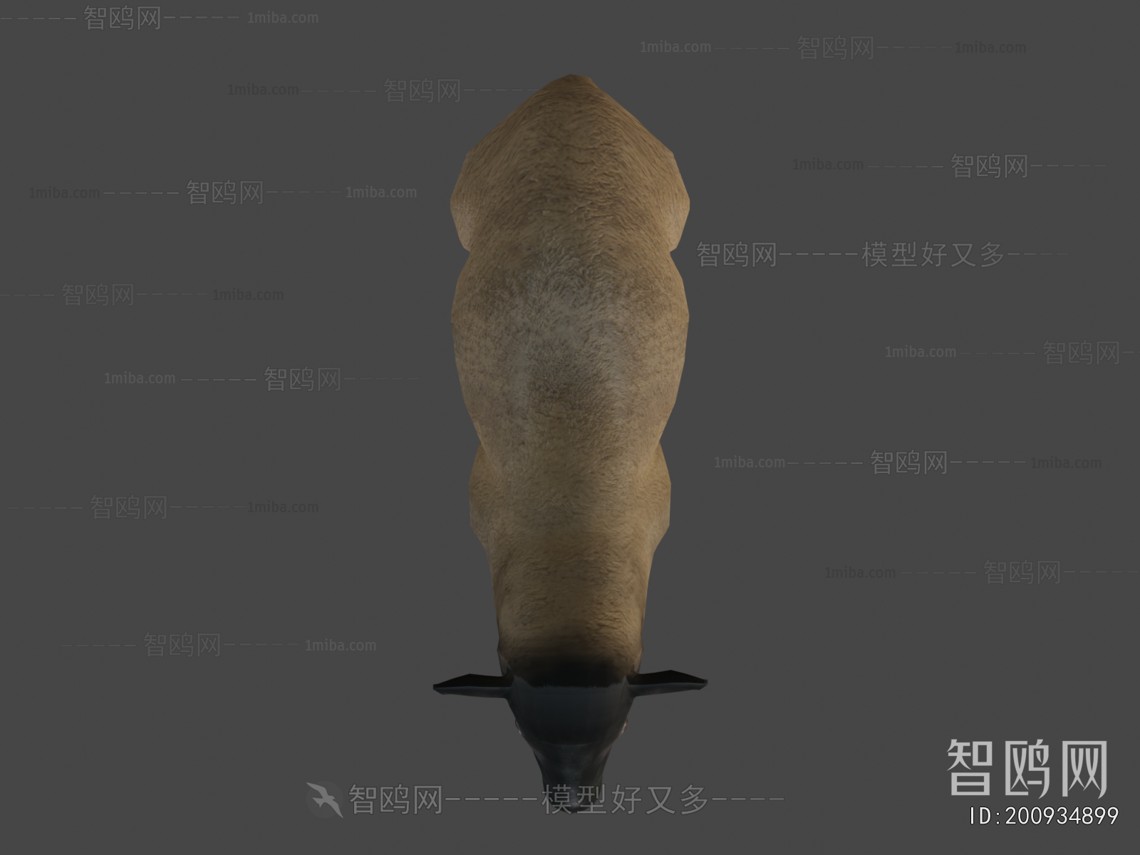 Modern Animal