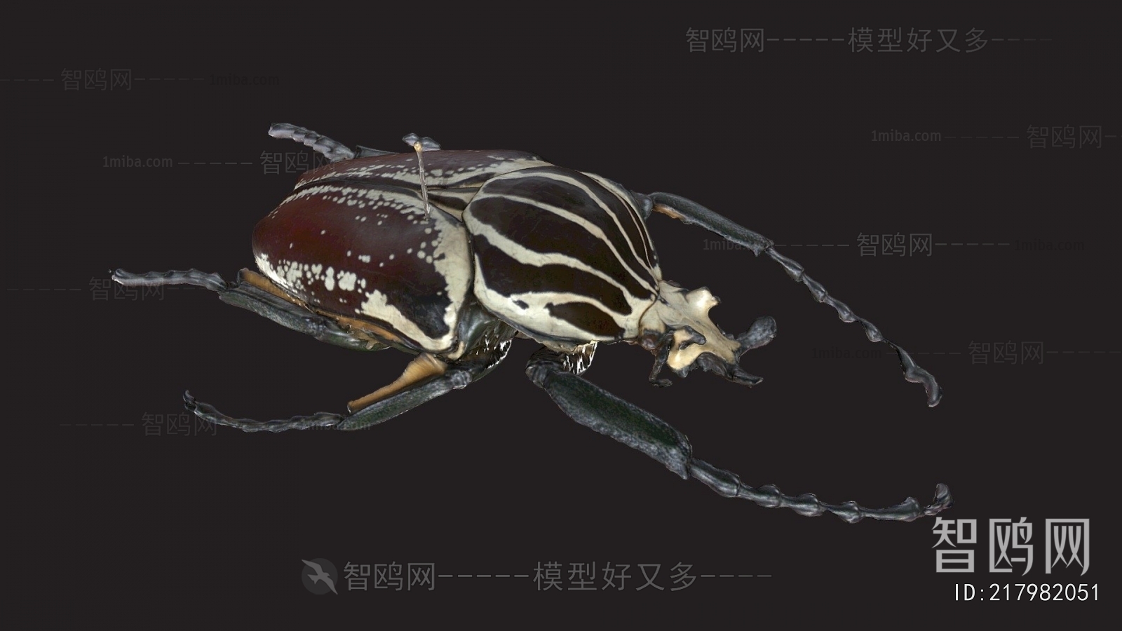 Modern Animal