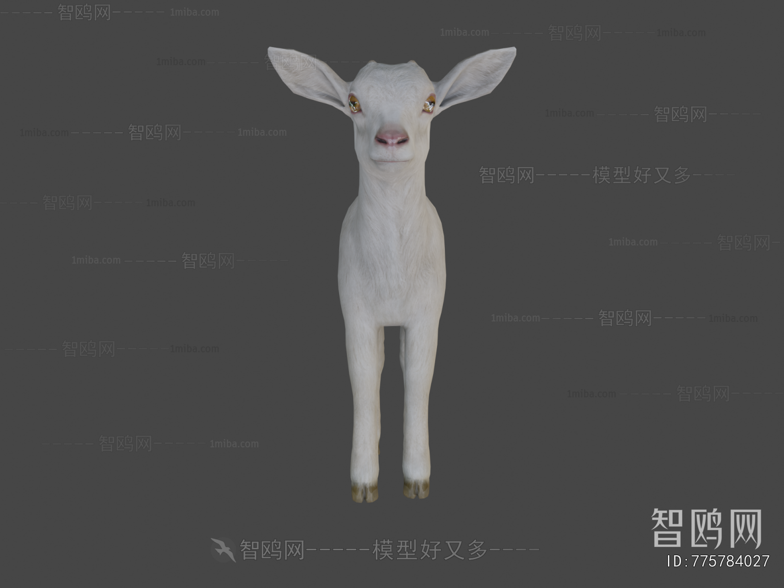 Modern Mammal