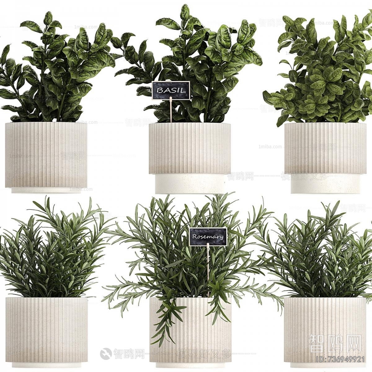 Modern Potted Green Plant