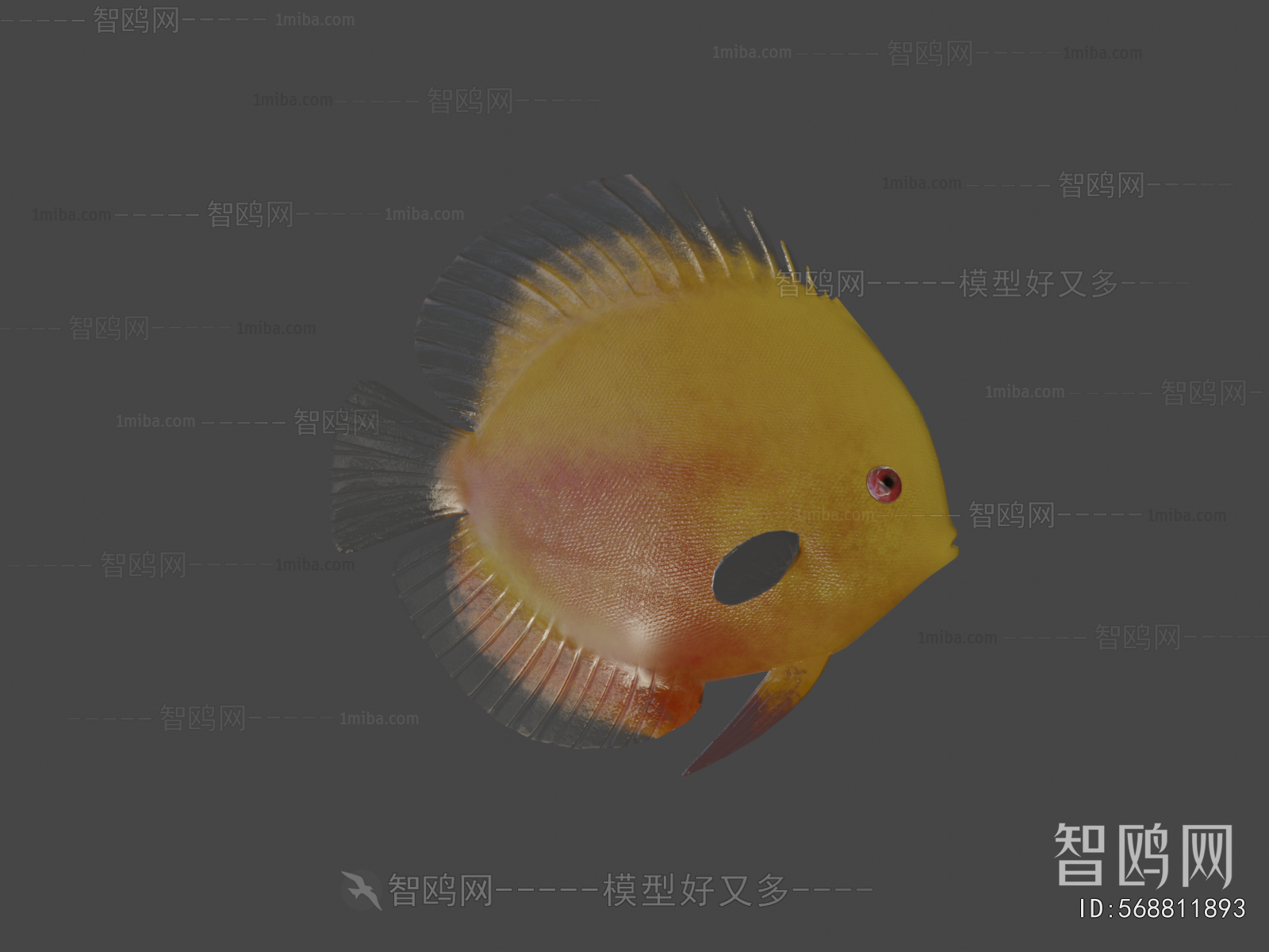 Modern Aquatic Animals