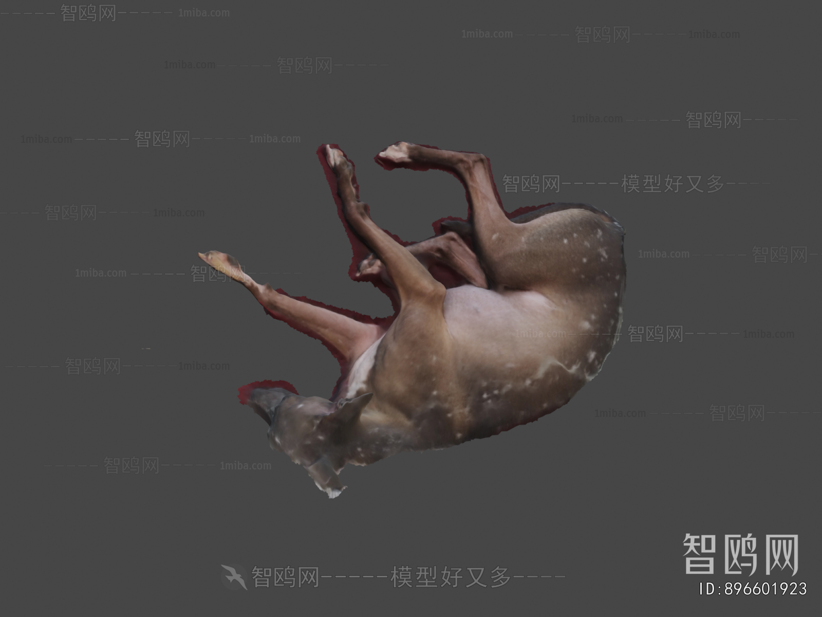 Modern Animal