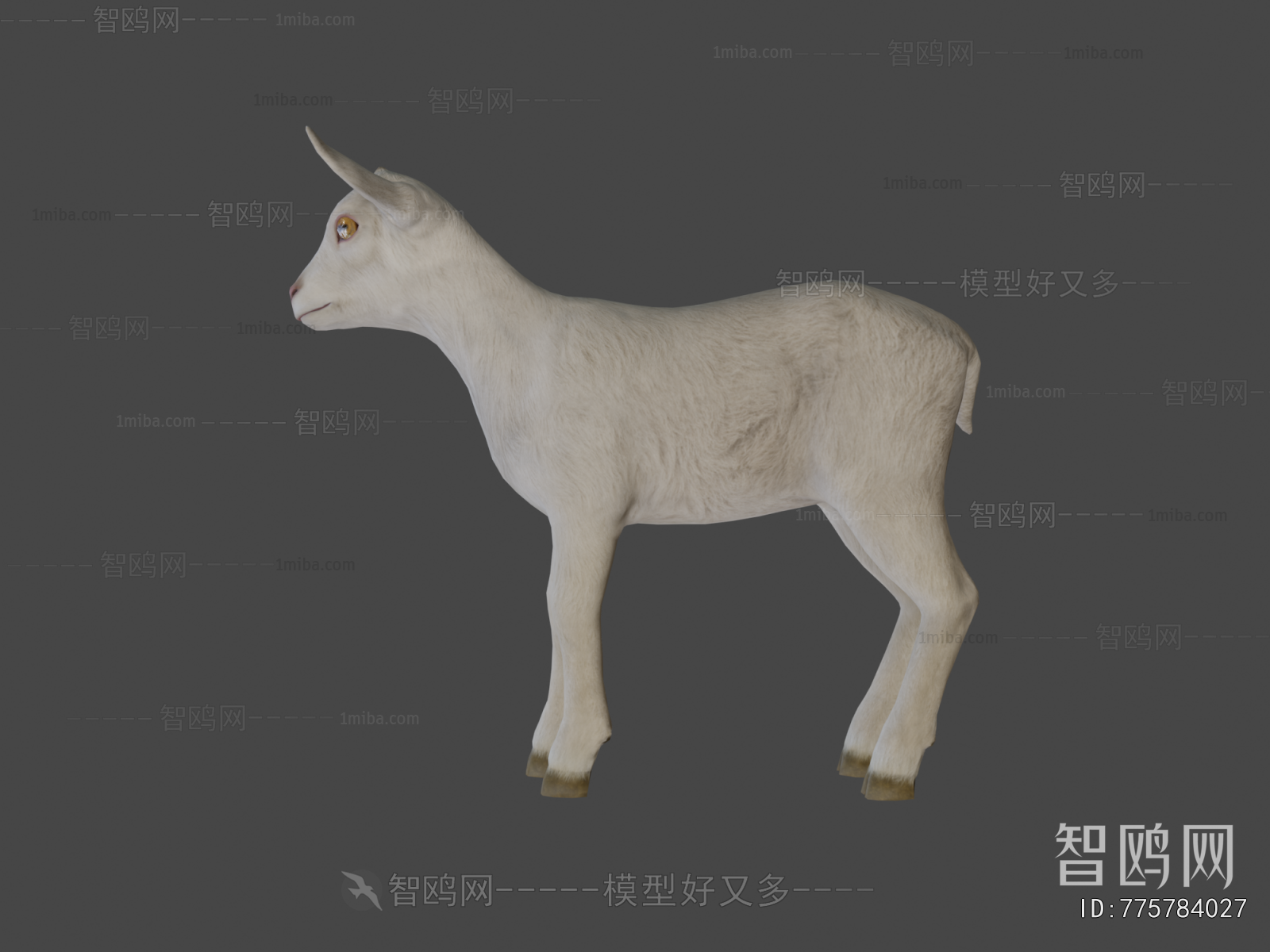 Modern Mammal