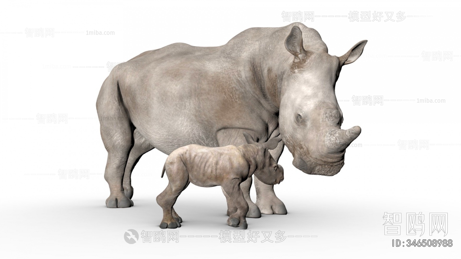 Modern Mammal
