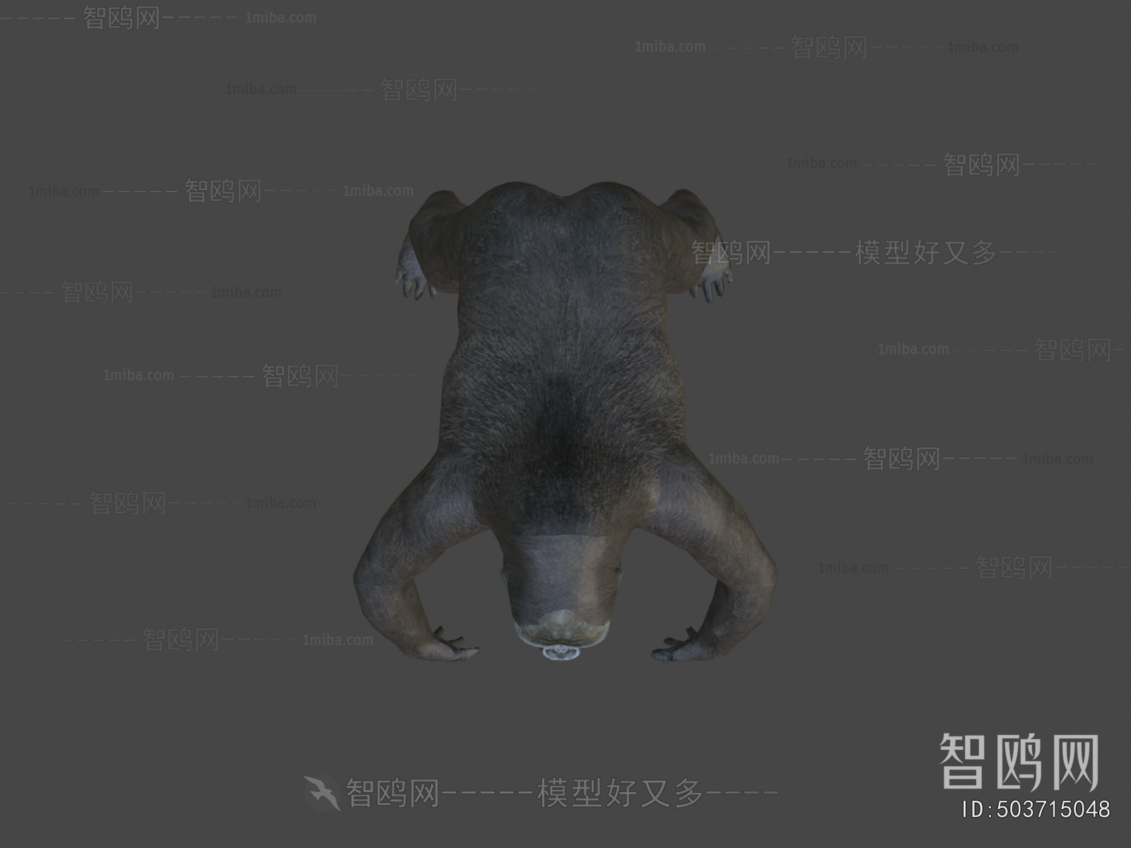 Modern Mammal