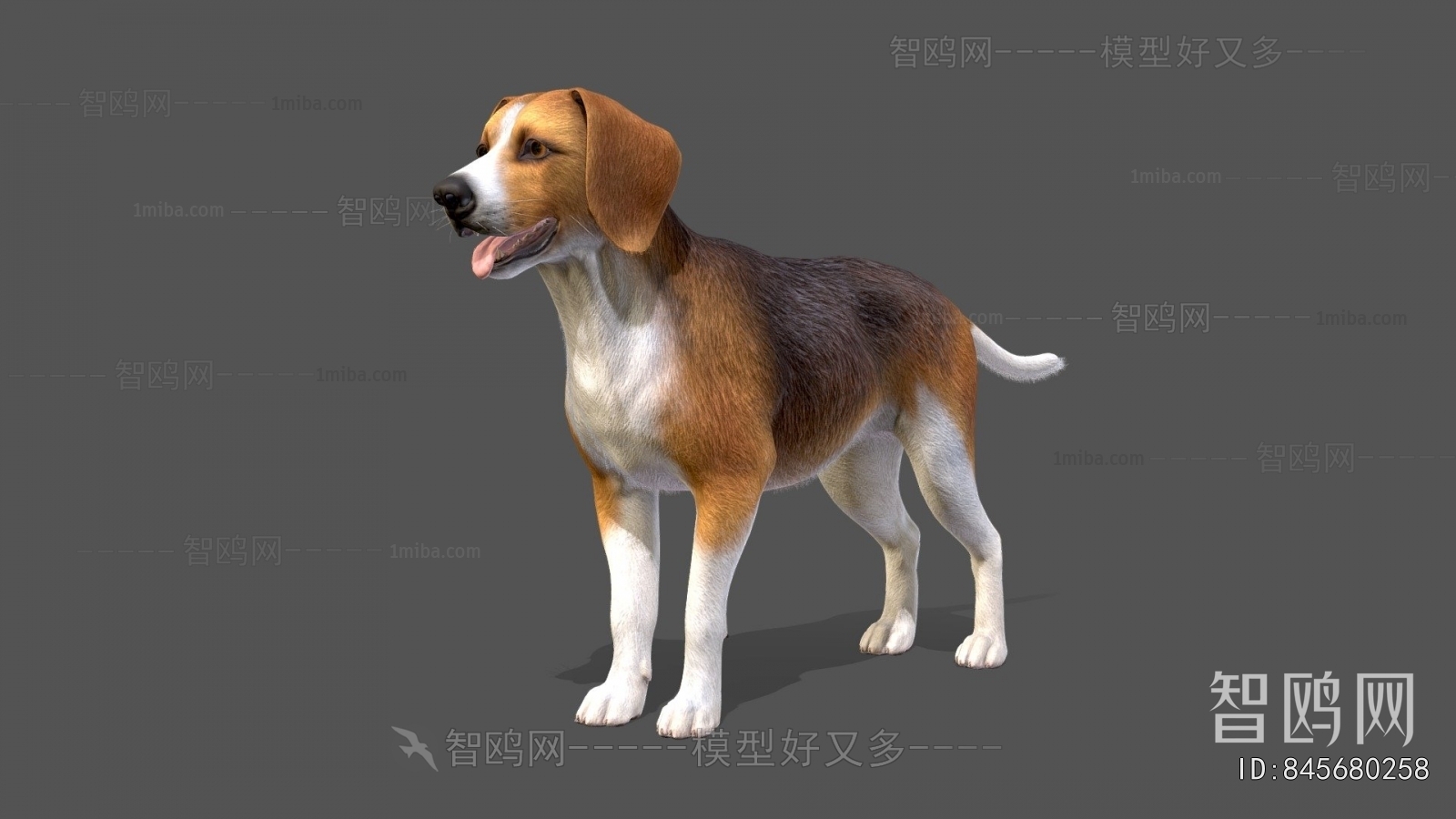 Modern Animal Dog