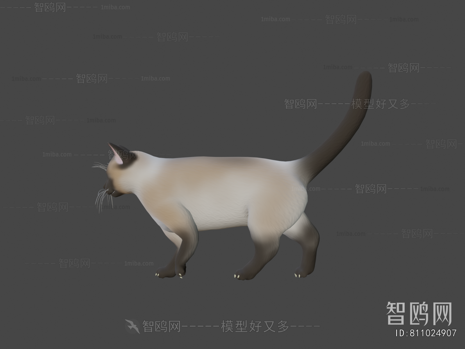 Modern Animal Cat