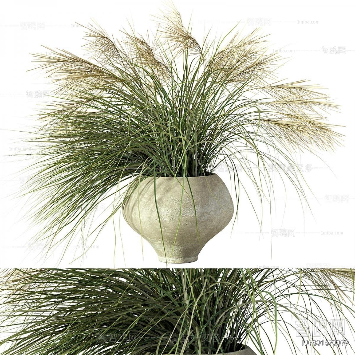 Modern Potted Green Plant