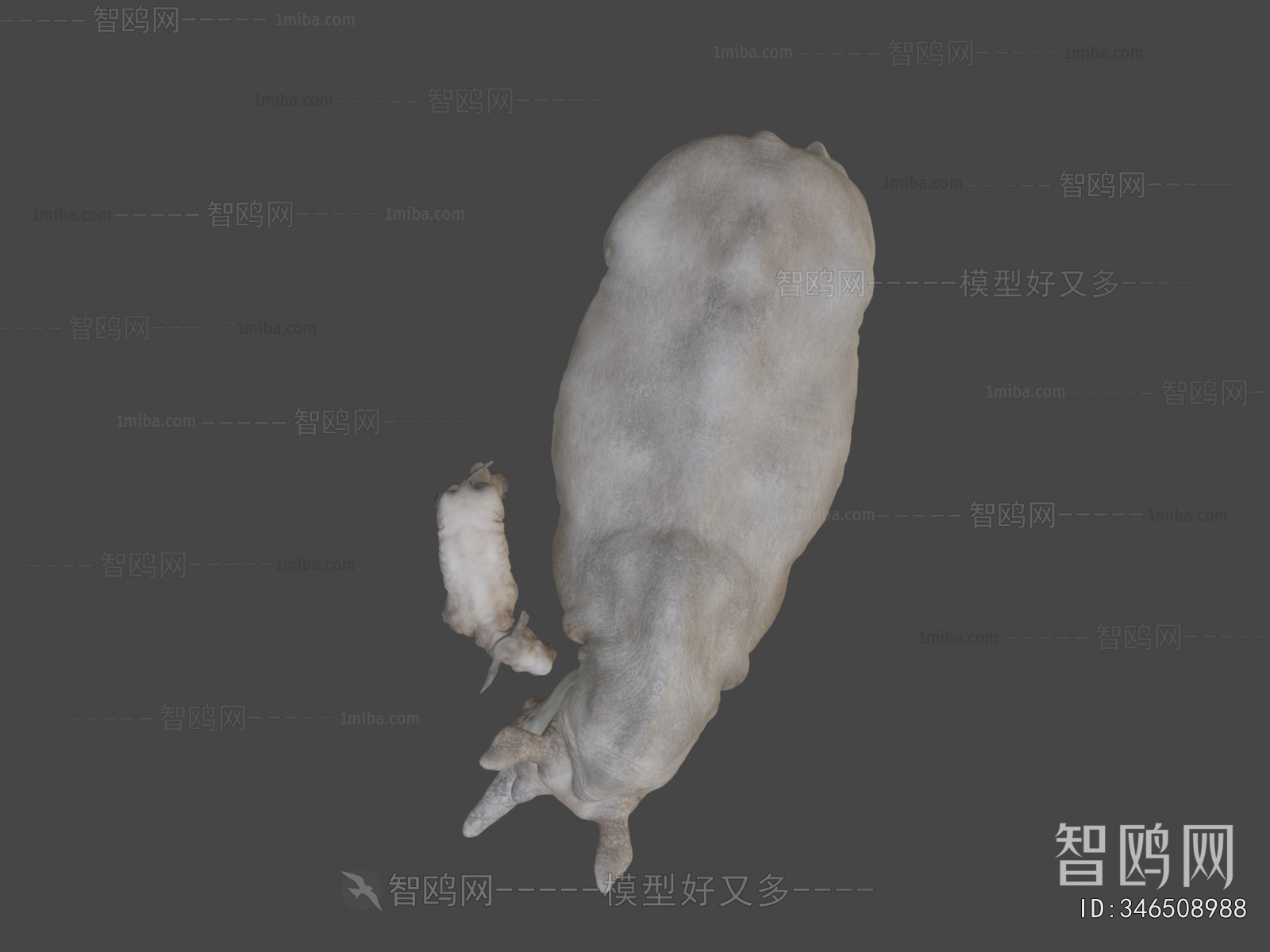Modern Mammal