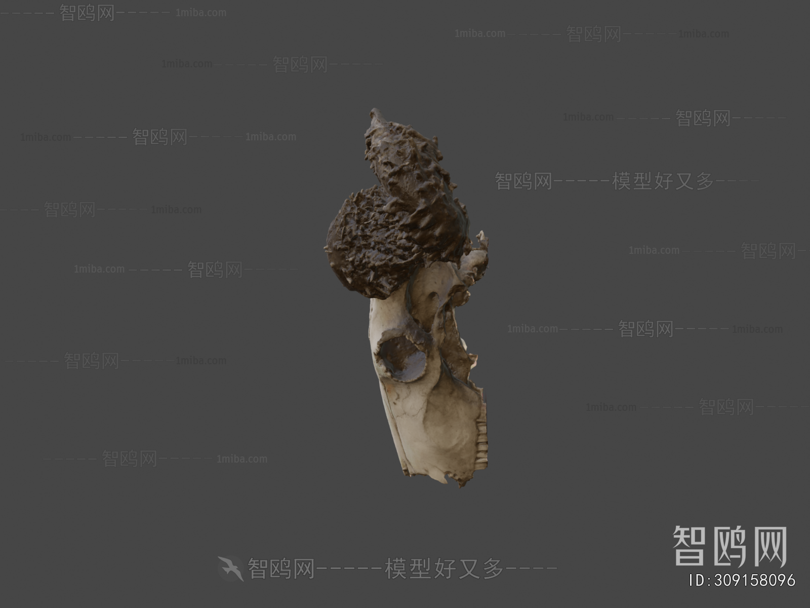 Modern Medical Equipment