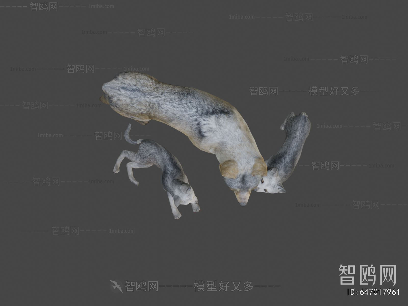 Modern Mammal