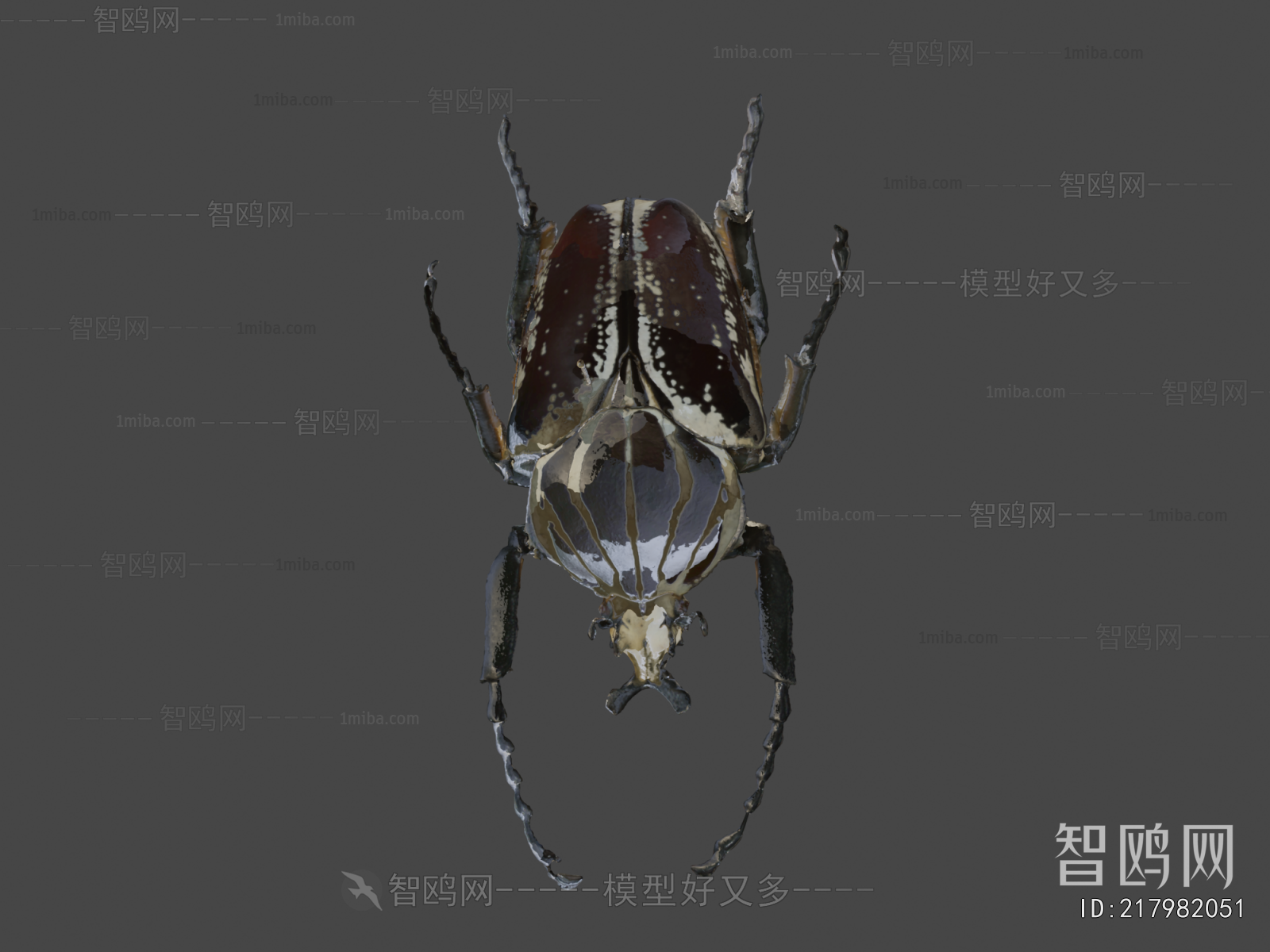 Modern Animal