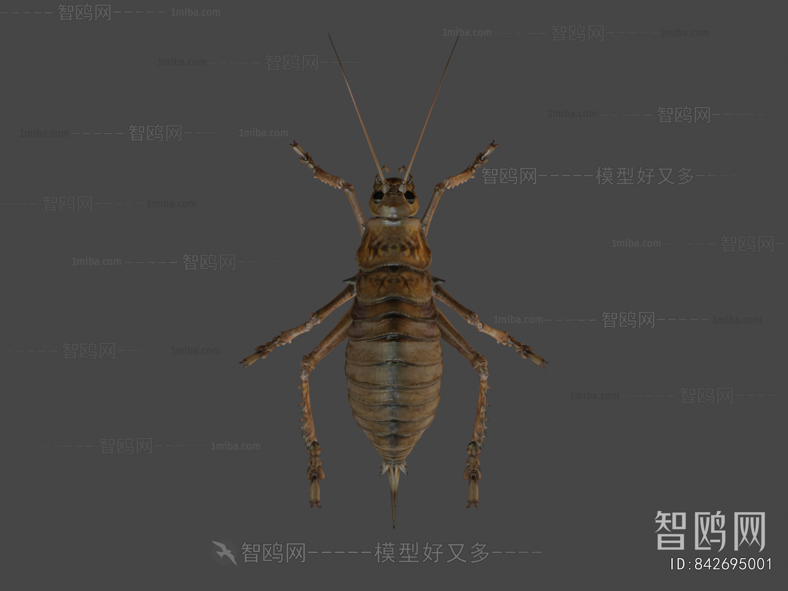 Modern Animal
