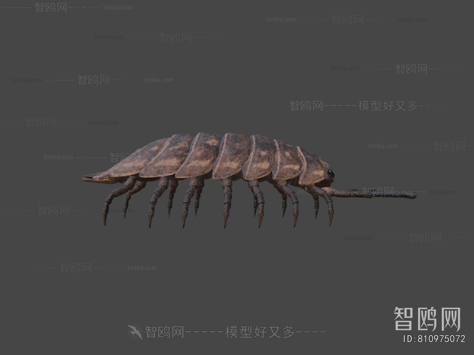 Modern Animal