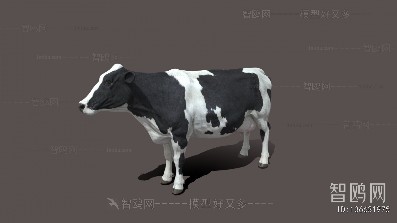 Modern Mammal
