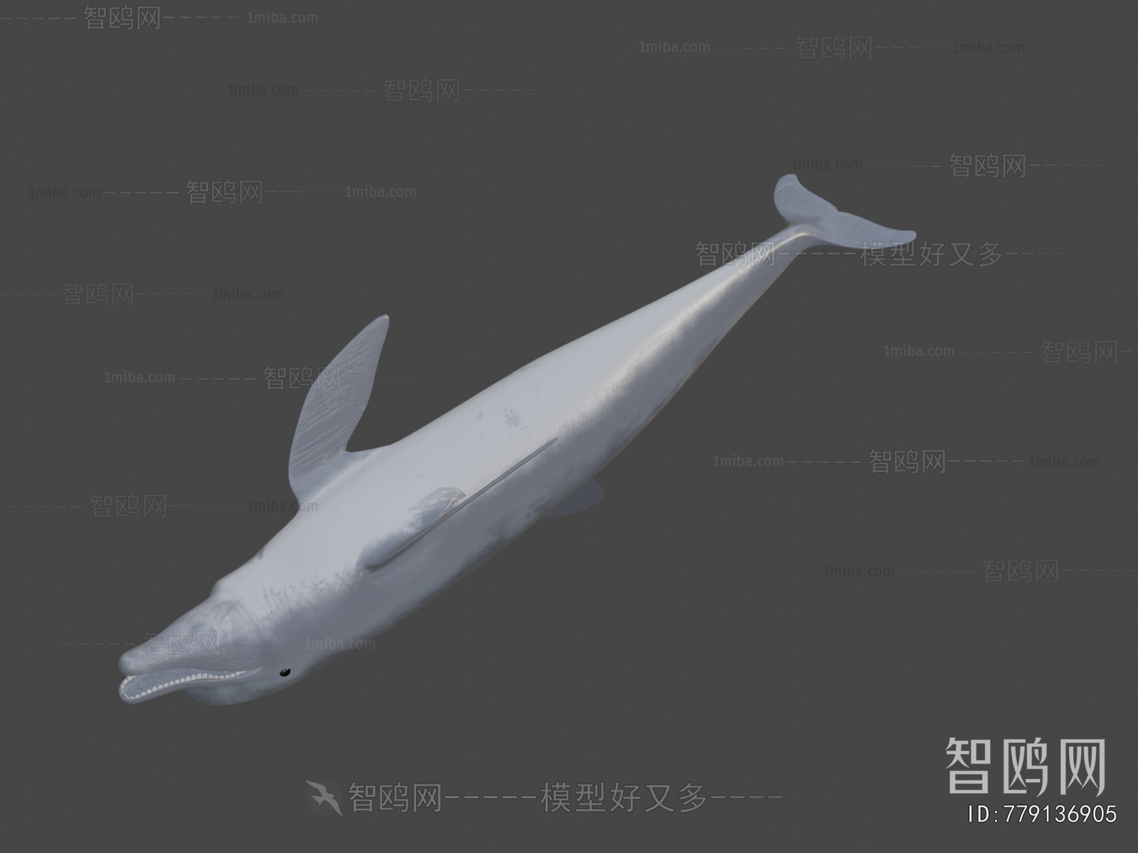 Modern Aquatic Animals