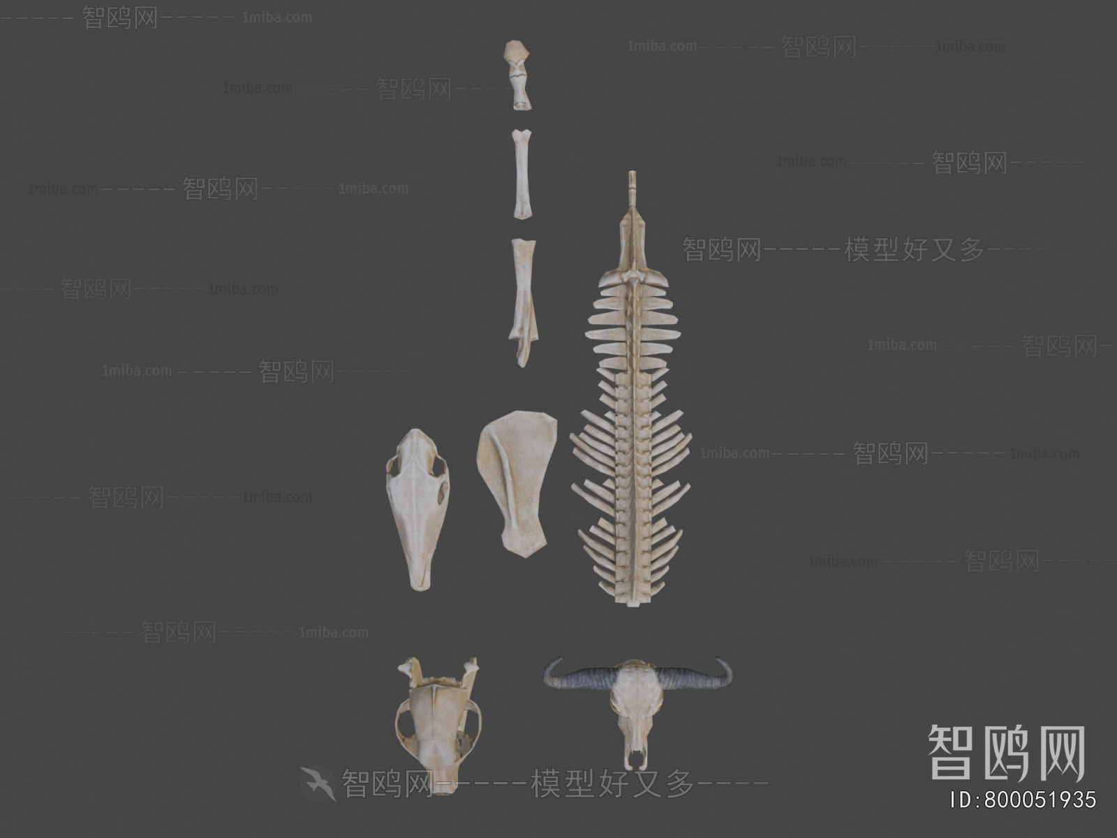 Modern Medical Equipment