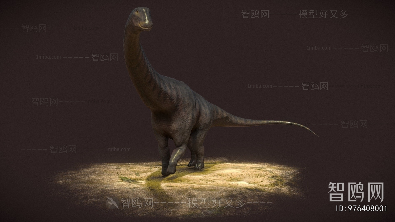 Modern Animal