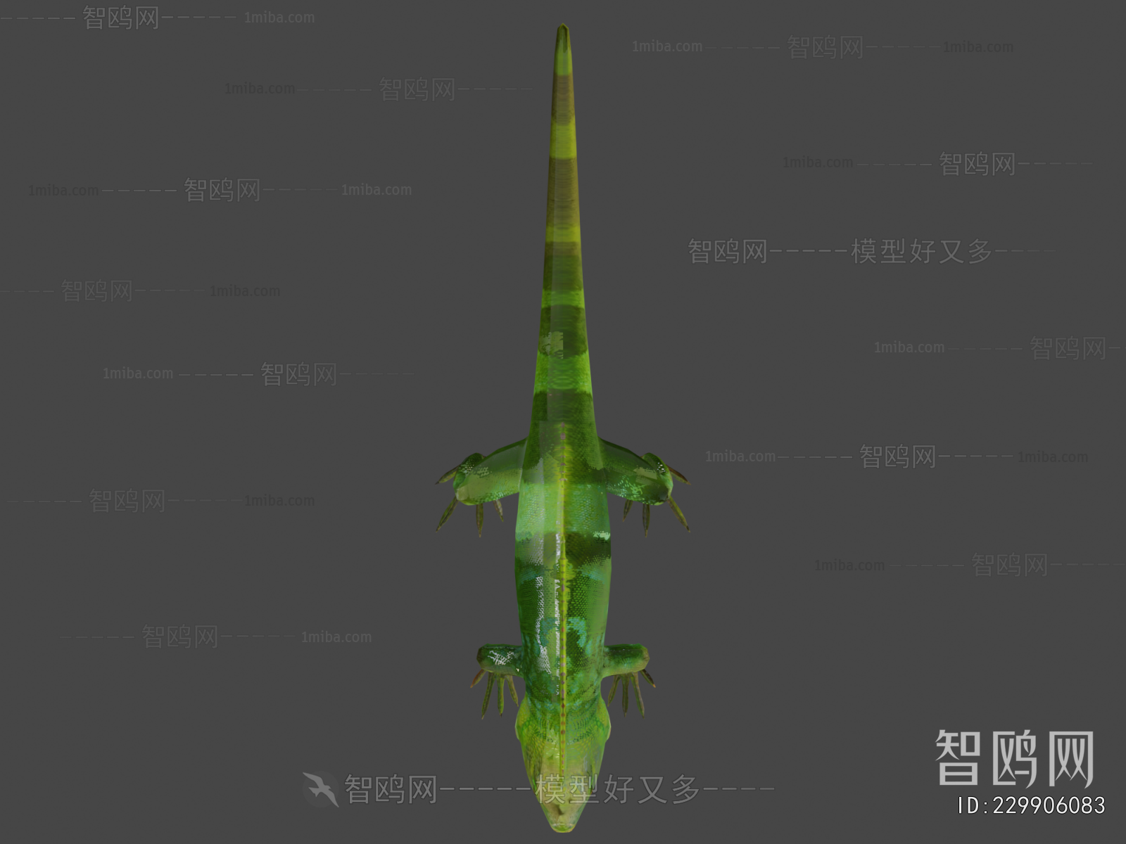 Modern Reptile