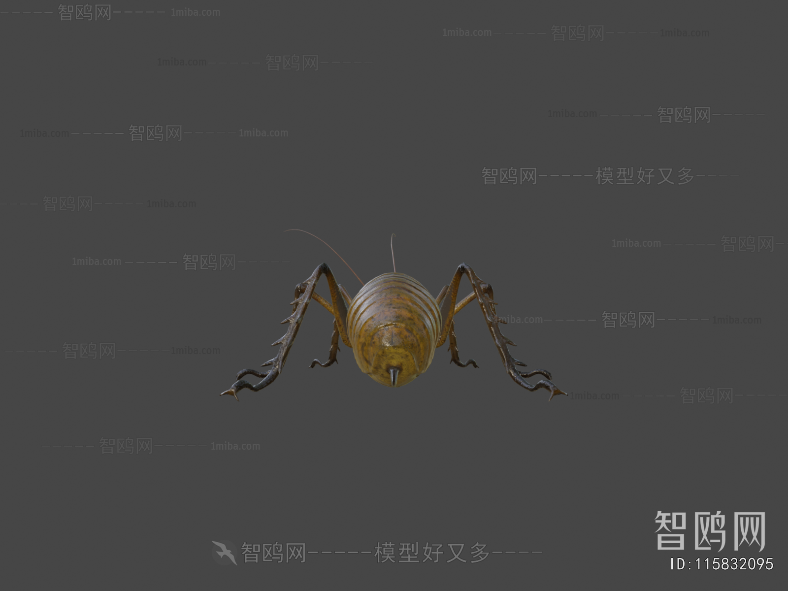 Modern Animal