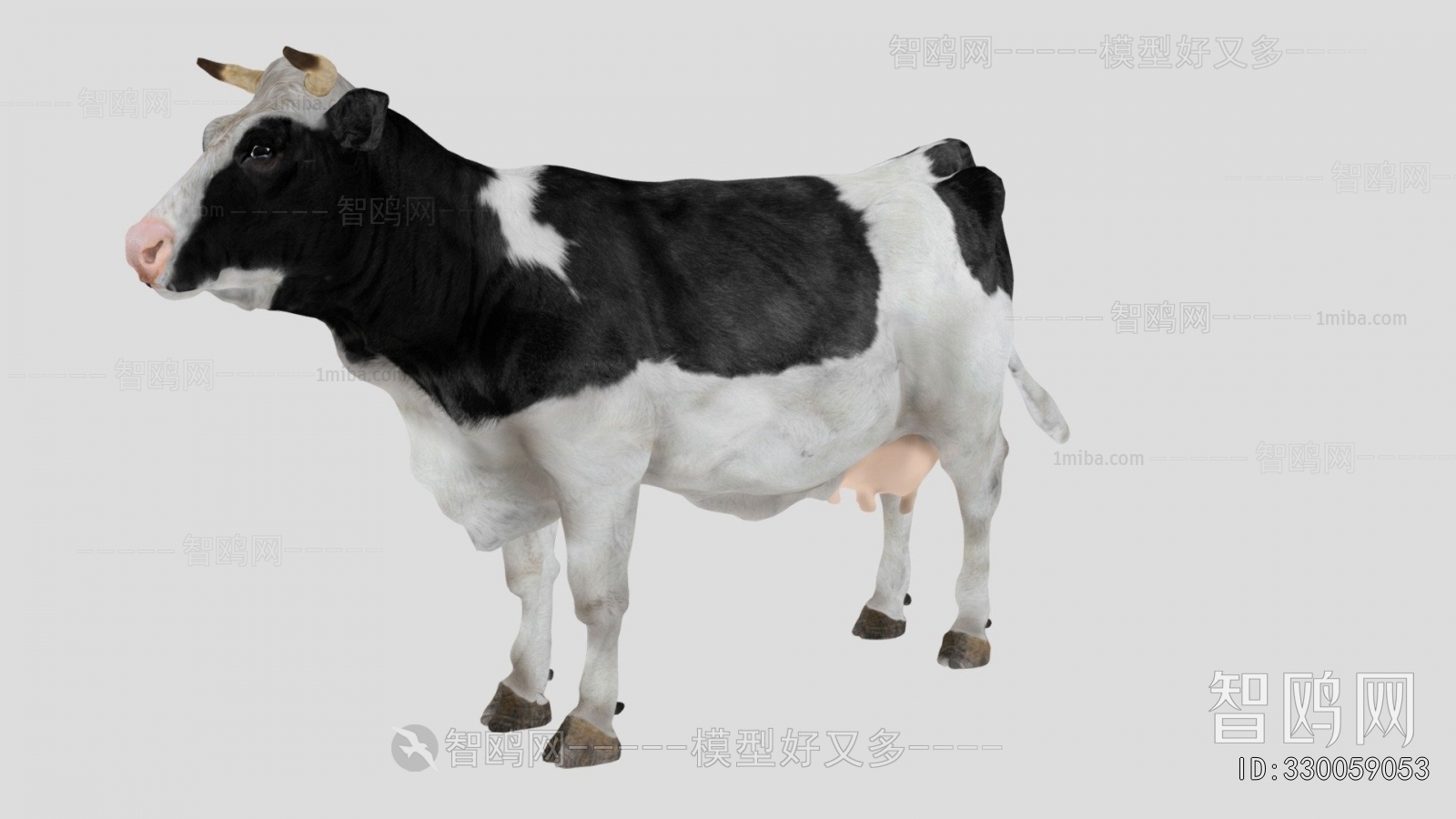 Modern Mammal