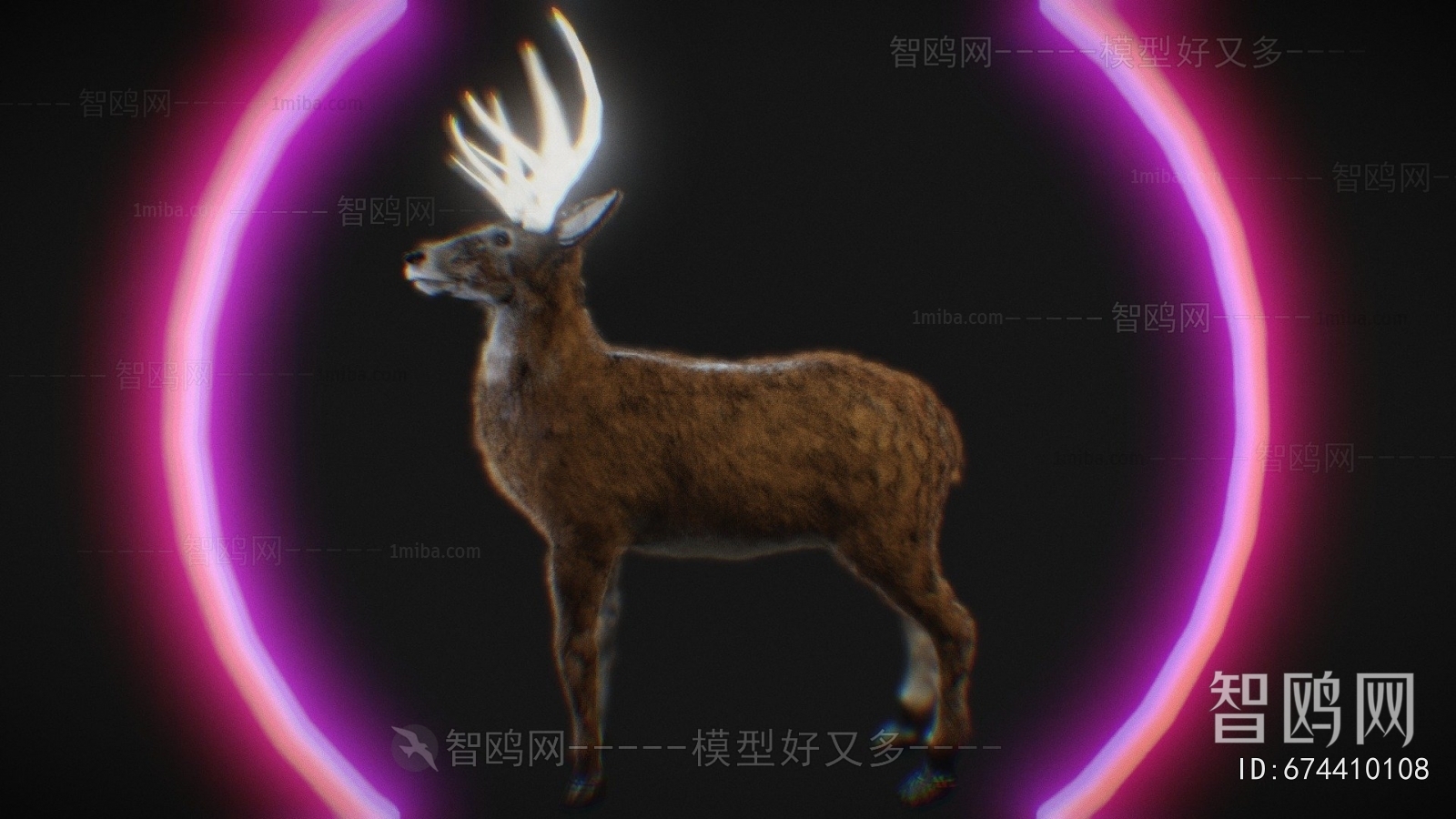 Modern Animal