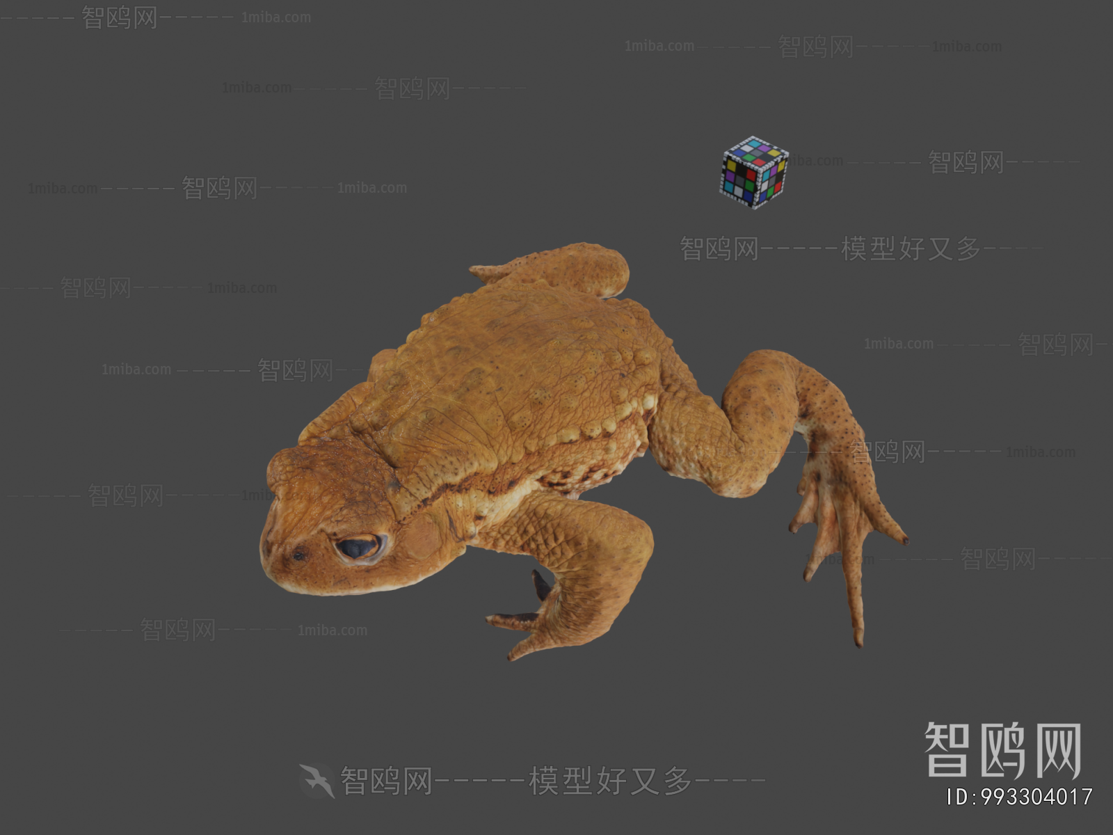 Modern Animal