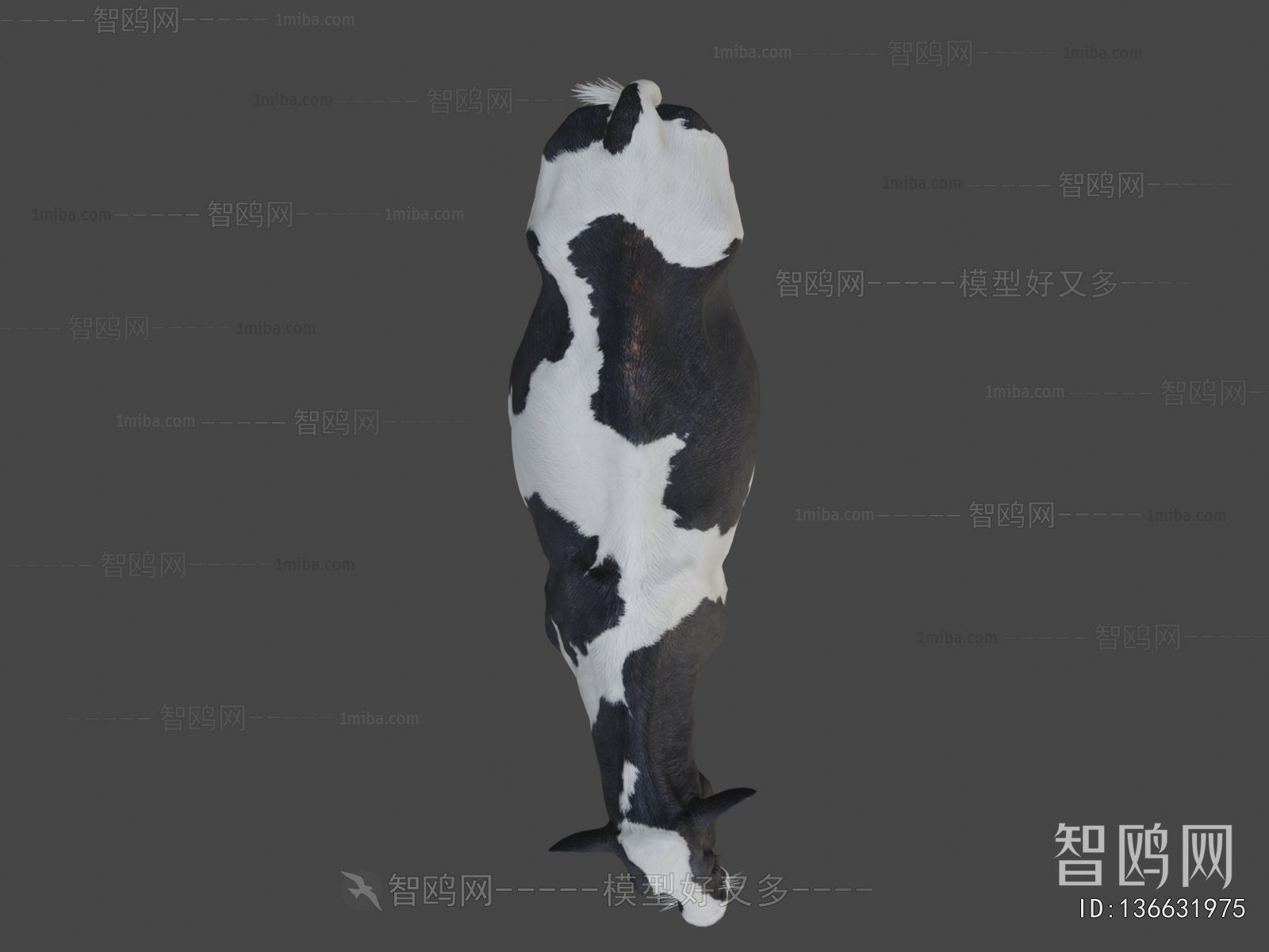 Modern Mammal