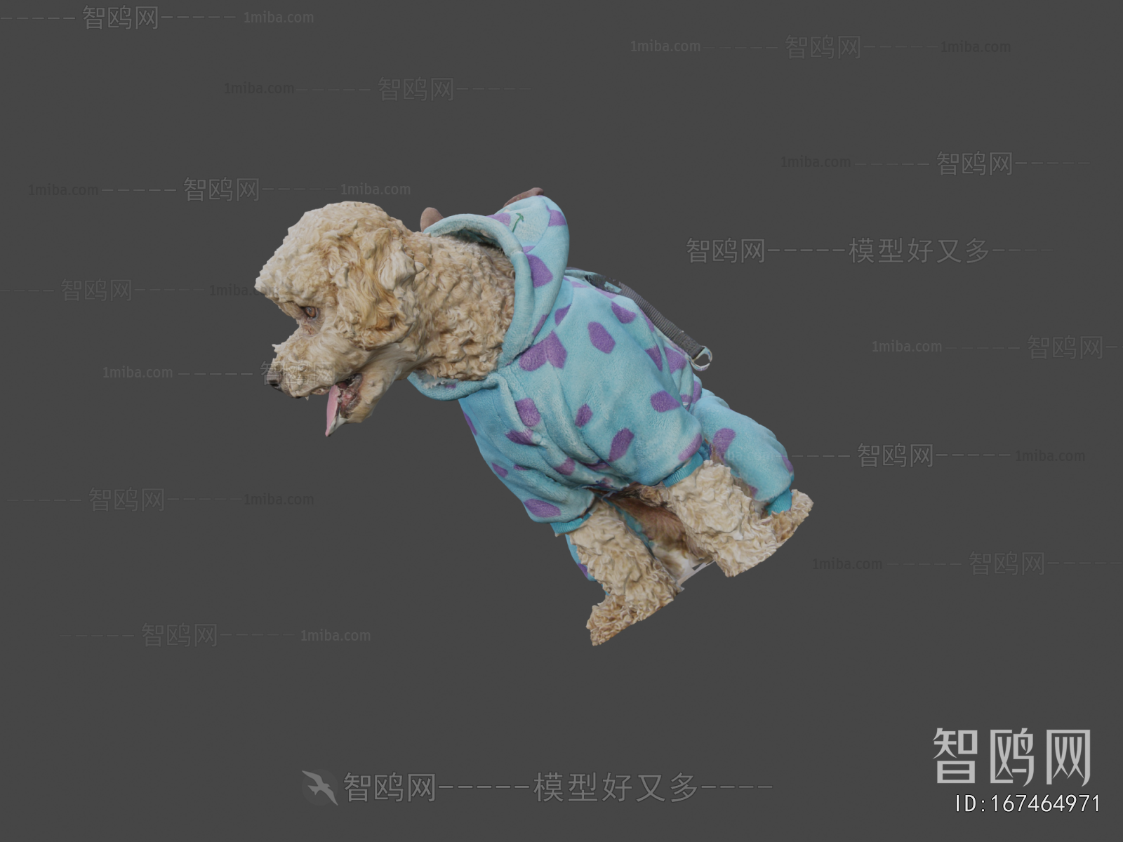 Modern Animal Dog