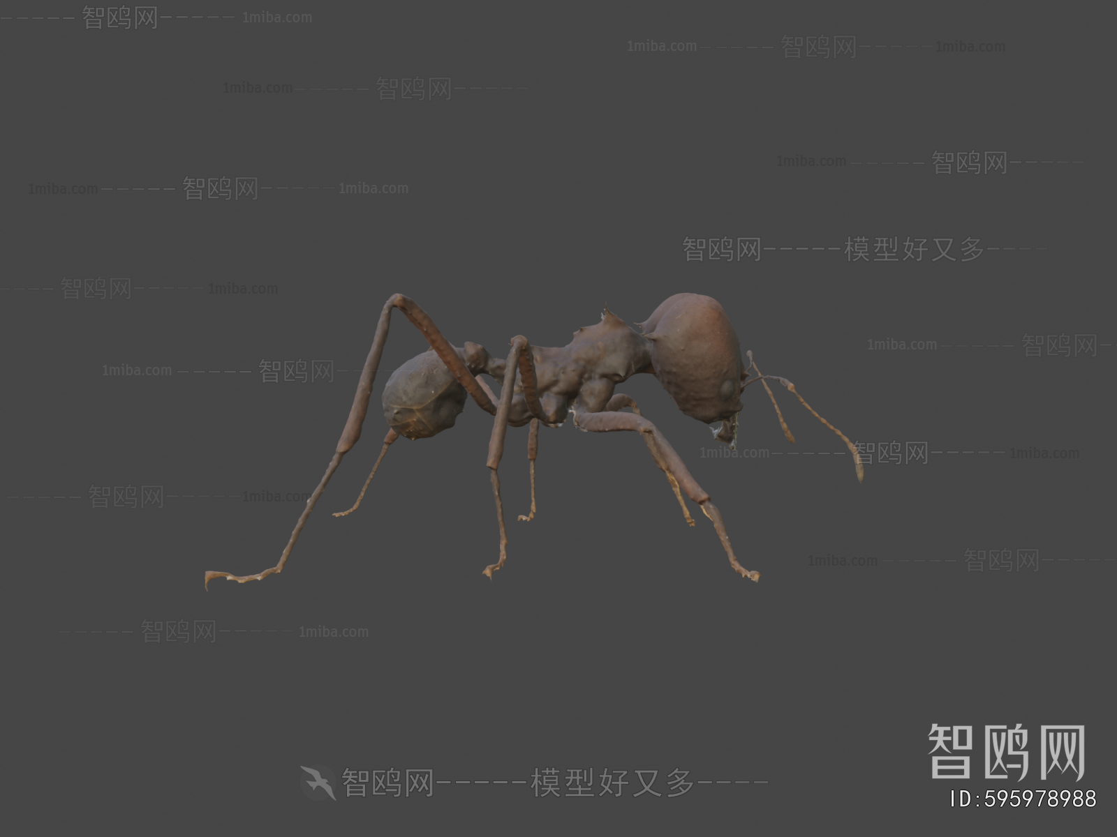 Modern Animal