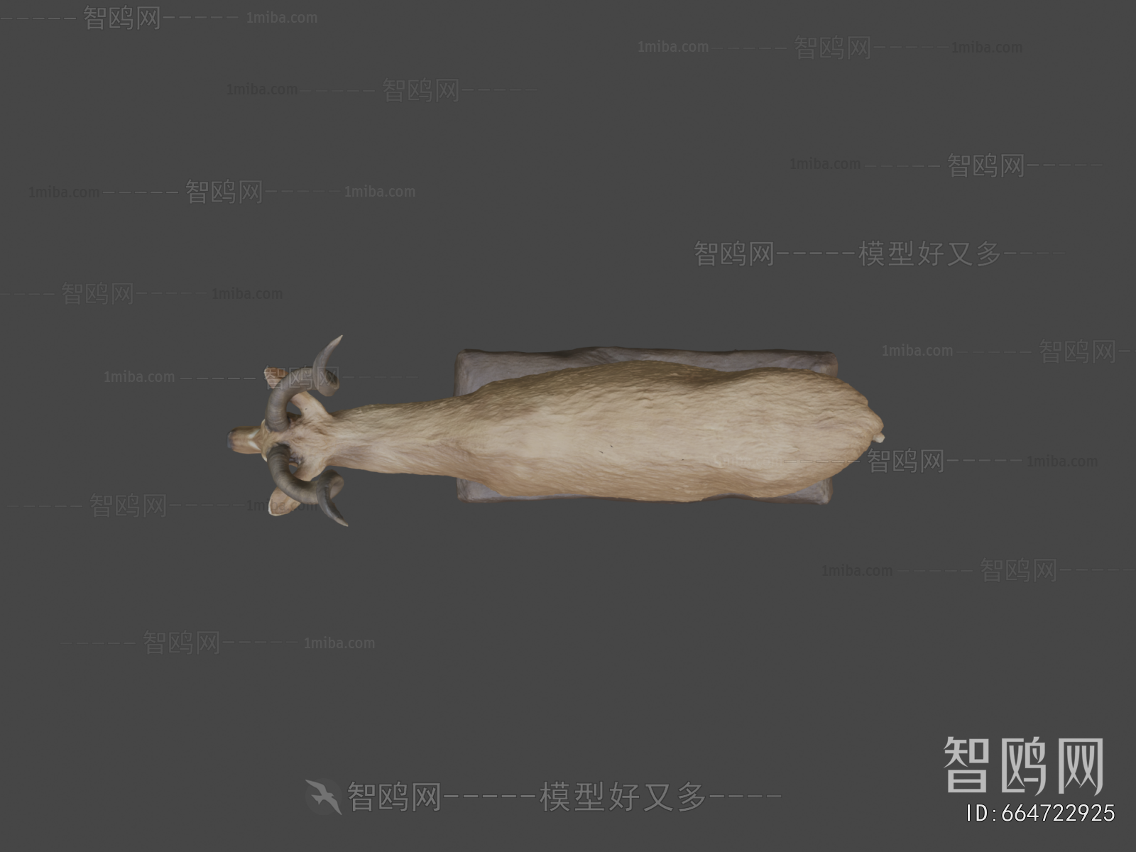 Modern Mammal