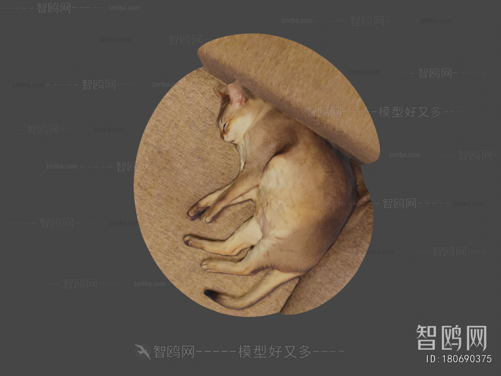 Modern Animal Cat